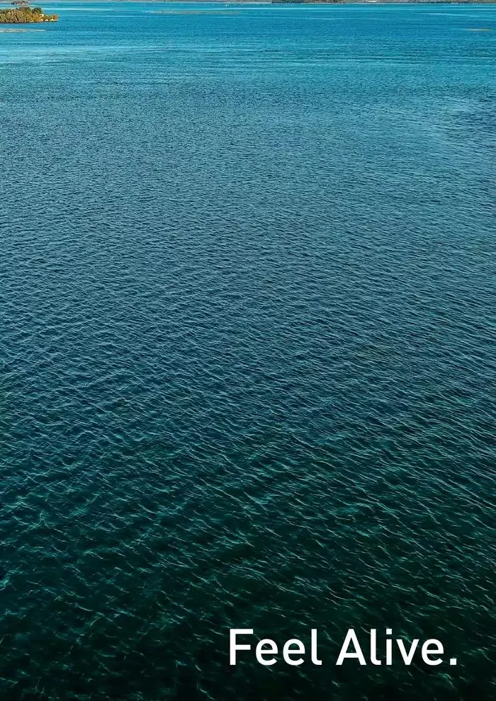 Catalogo 2025 da 4 febbraio a 31 dicembre di 2025 - Pagina del volantino 75