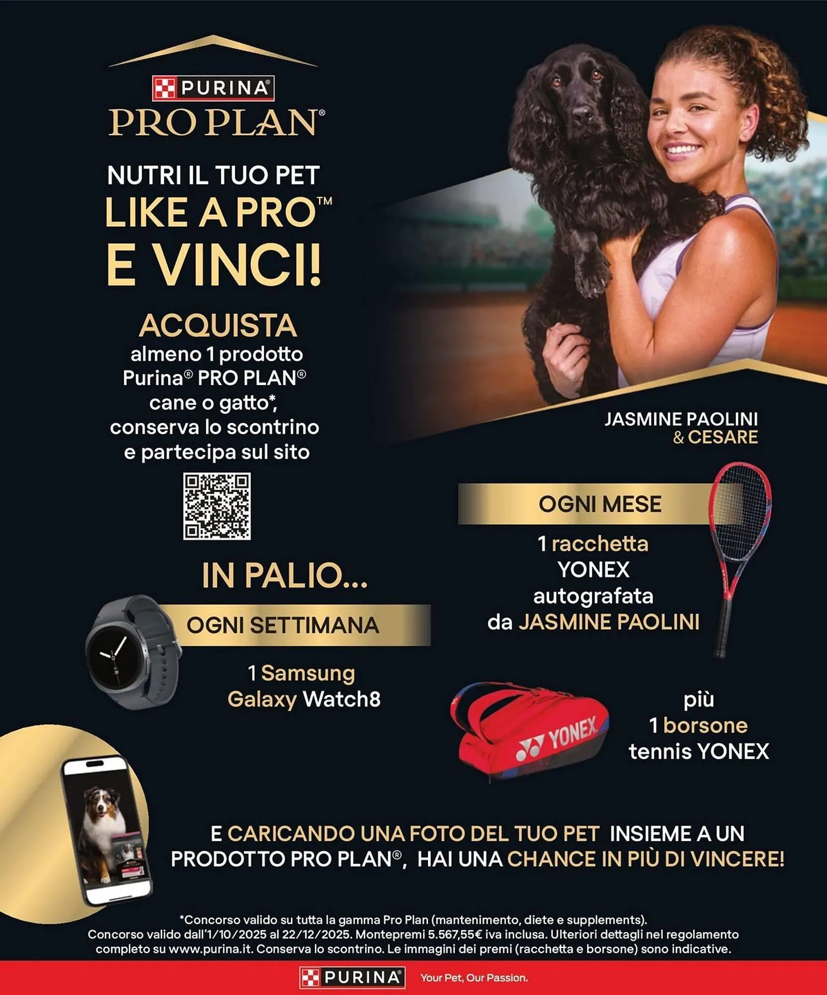 Volantino Arcaplanet da 10 novembre a 16 novembre di 2025 - Pagina del volantino 37