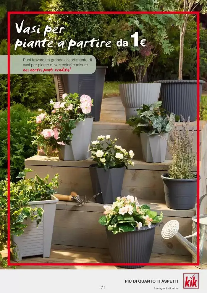 Piu felicita per i piu puccini da 7 febbraio a 16 febbraio di 2025 - Pagina del volantino 21