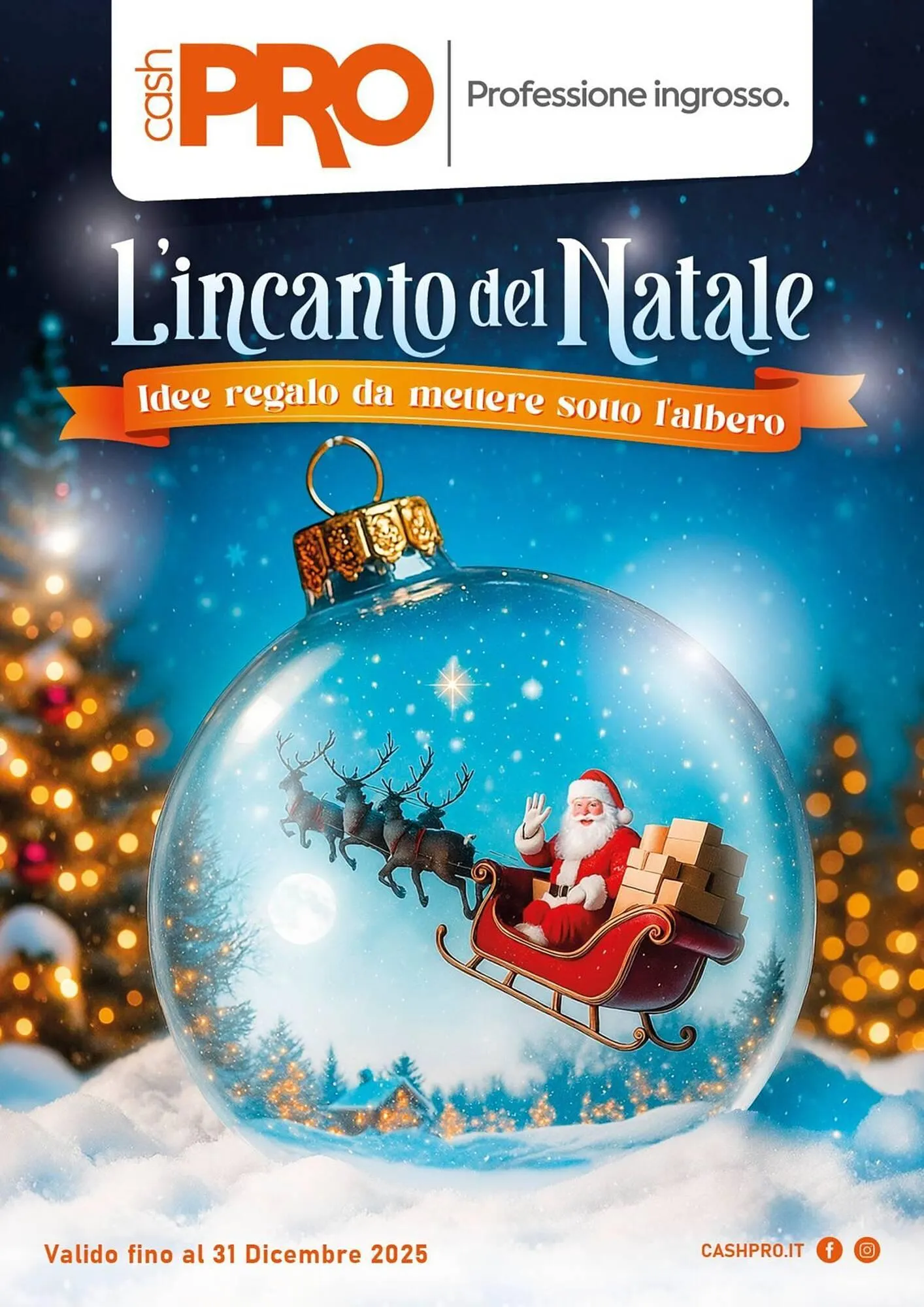 Volantino Cash pro da 29 dicembre a 31 dicembre di 2025 - Pagina del volantino 1