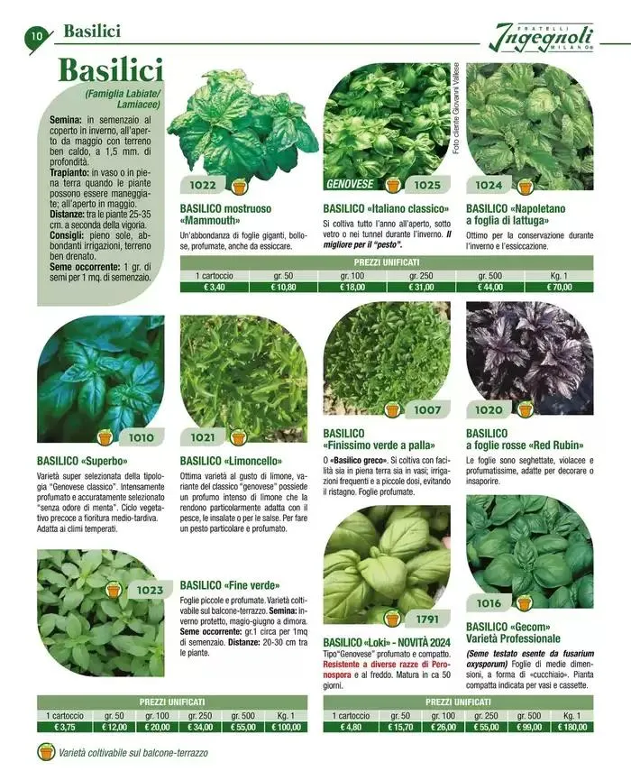 Catalogo guida 2025 da 20 gennaio a 31 dicembre di 2025 - Pagina del volantino 12