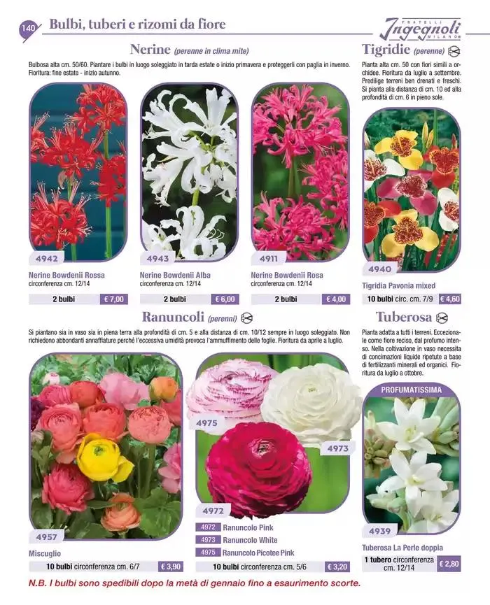 Catalogo guida 2025 da 20 gennaio a 31 dicembre di 2025 - Pagina del volantino 142