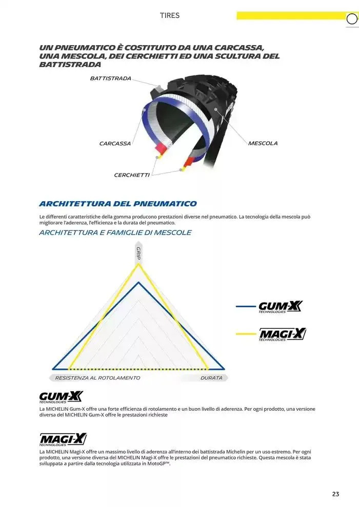 Catalogo AM 2025 da 17 gennaio a 31 dicembre di 2025 - Pagina del volantino 31