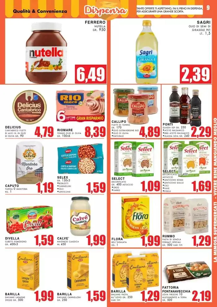 Buona Pasqua da 7 aprile a 21 aprile di 2025 - Pagina del volantino 9