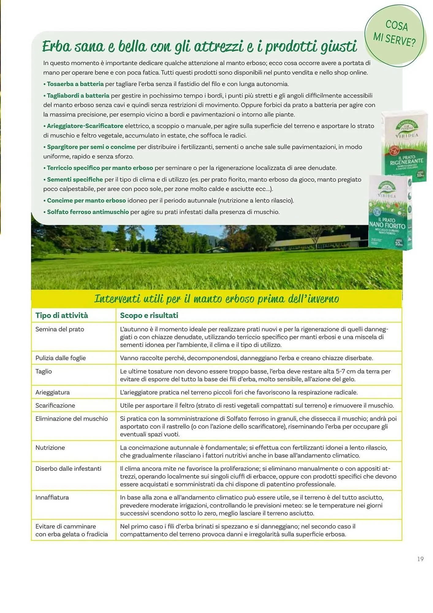 Volantino Viridea da 17 ottobre a 22 dicembre di 2025 - Pagina del volantino 19