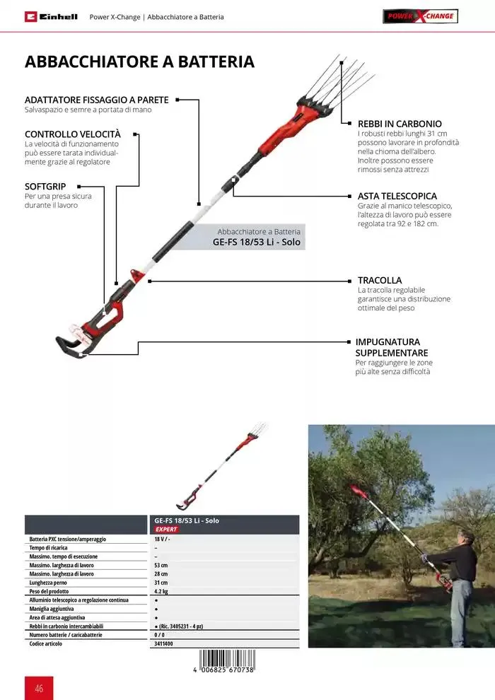 Giardinaggio 2025 da 11 febbraio a 31 dicembre di 2025 - Pagina del volantino 46