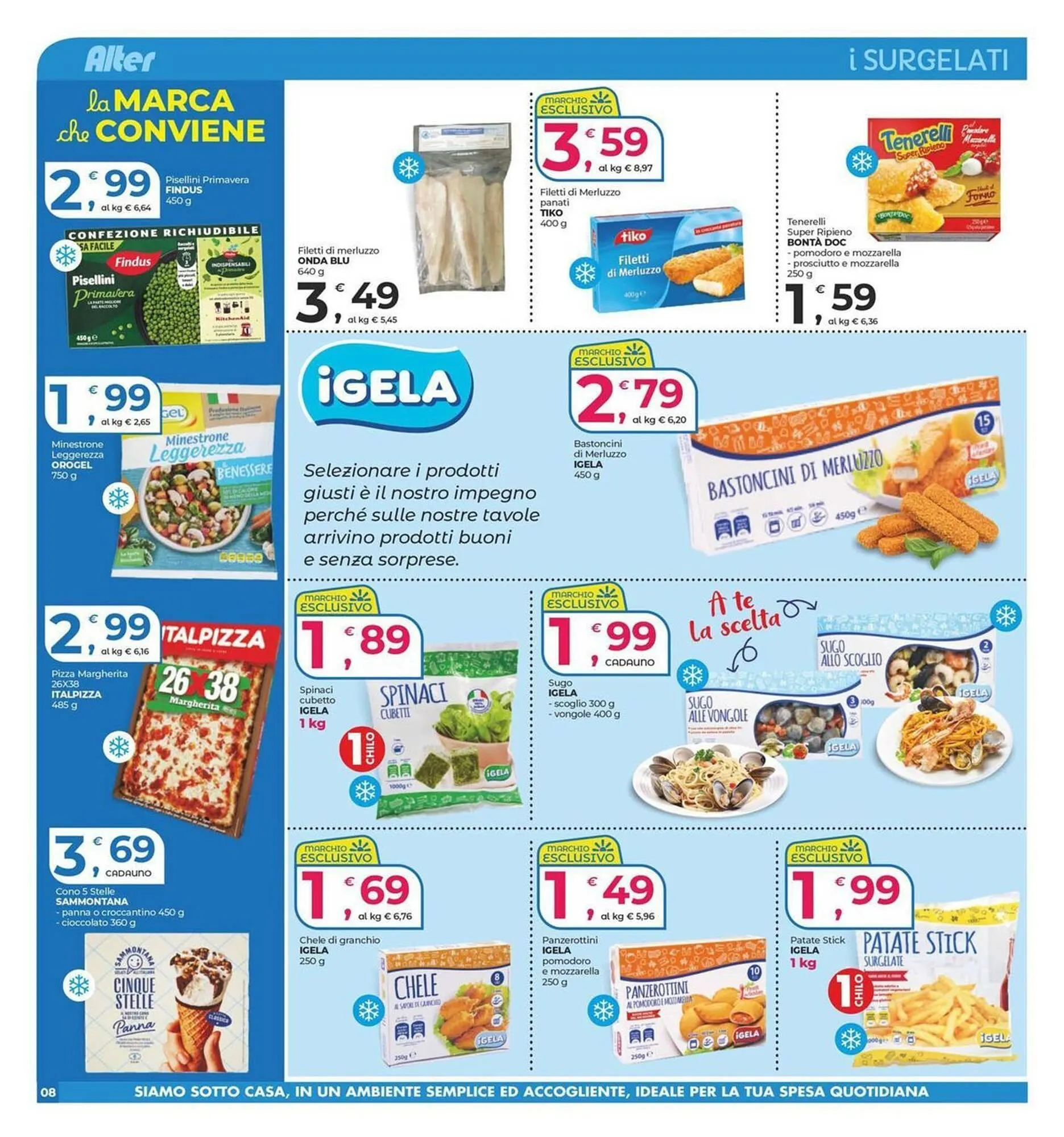 Volantino Alter Discount da 13 marzo a 24 marzo di 2026 - Pagina del volantino 8