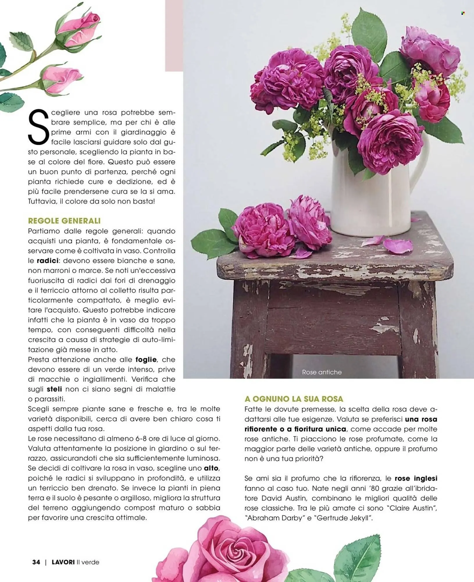 Volantino Pan da 1 maggio a 30 giugno di 2025 - Pagina del volantino 35