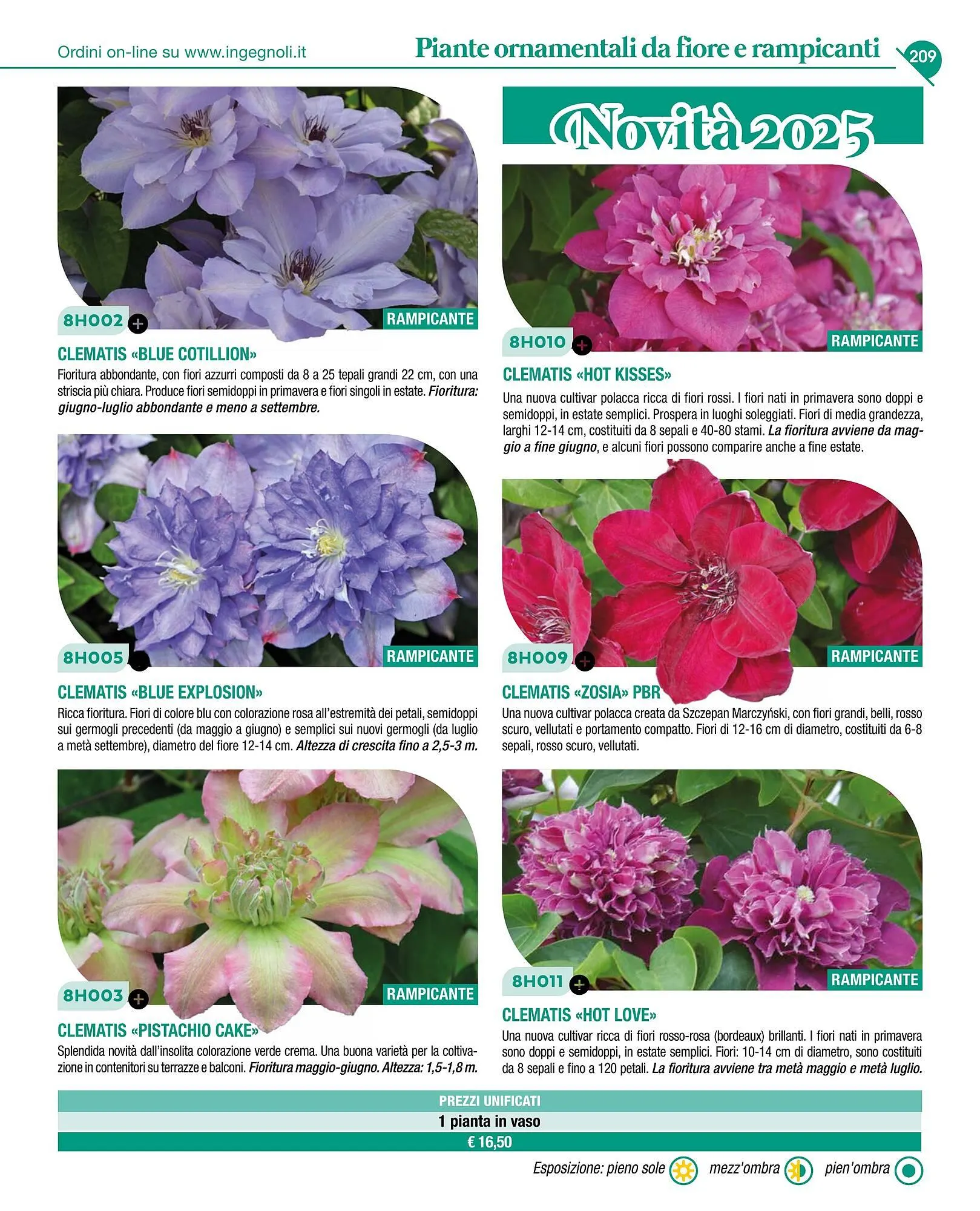 Volantino Ingegnoli da 4 novembre a 31 dicembre di 2025 - Pagina del volantino 211