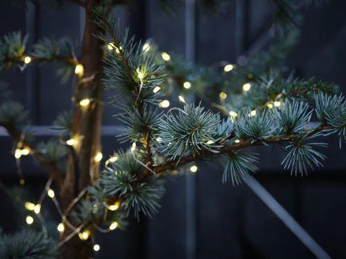 LED-Lichterkette ANTIGORIT L790cm m/80LED und Timer