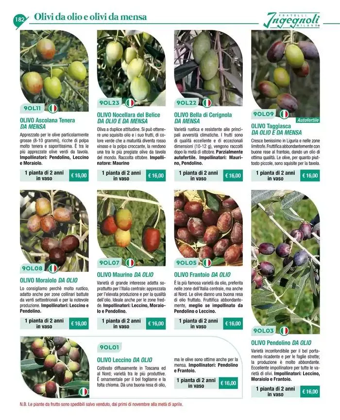 Catalogo guida 2025 da 20 gennaio a 31 dicembre di 2025 - Pagina del volantino 184