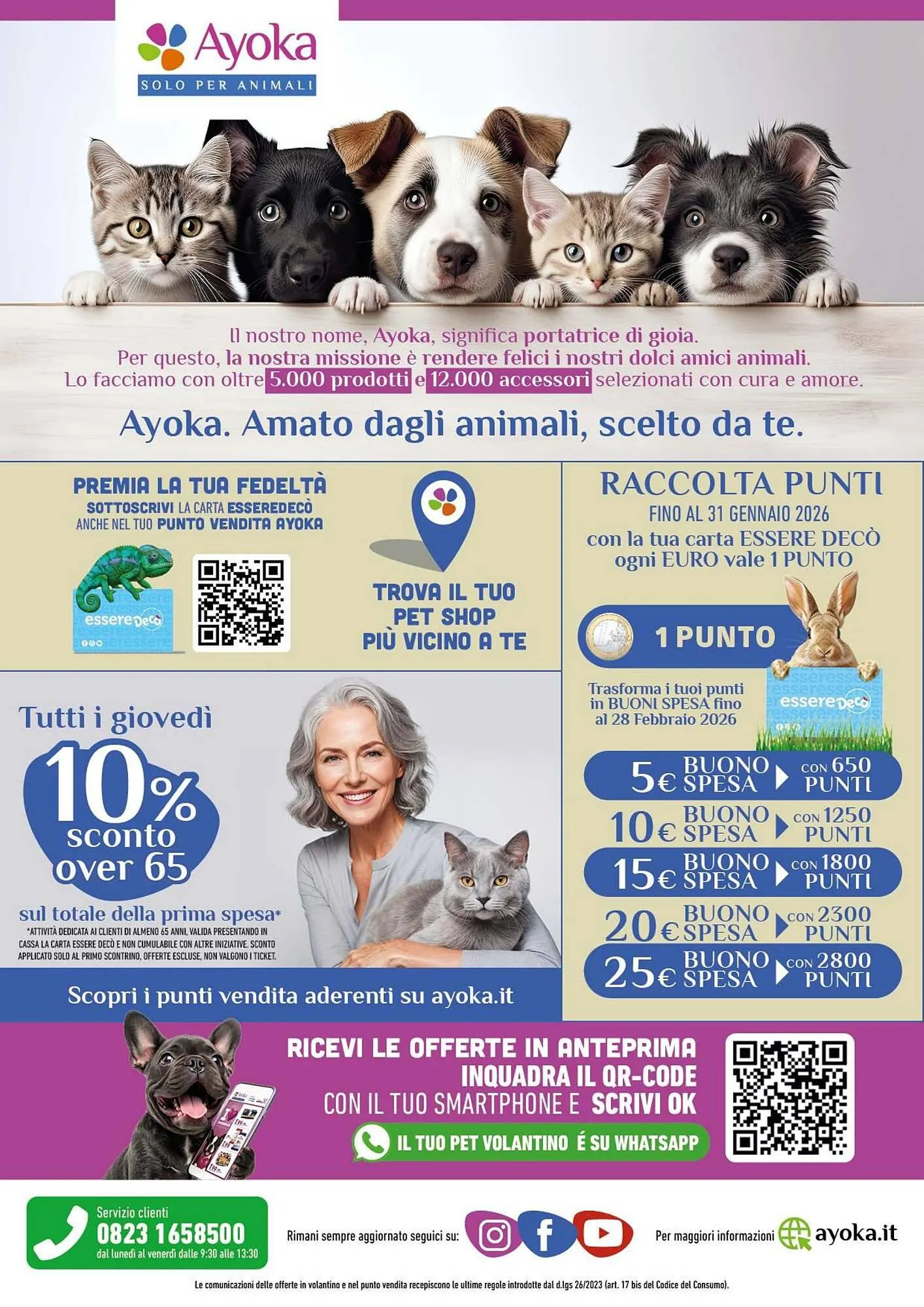 Volantino Ayoka da 15 dicembre a 10 gennaio di 2026 - Pagina del volantino 8