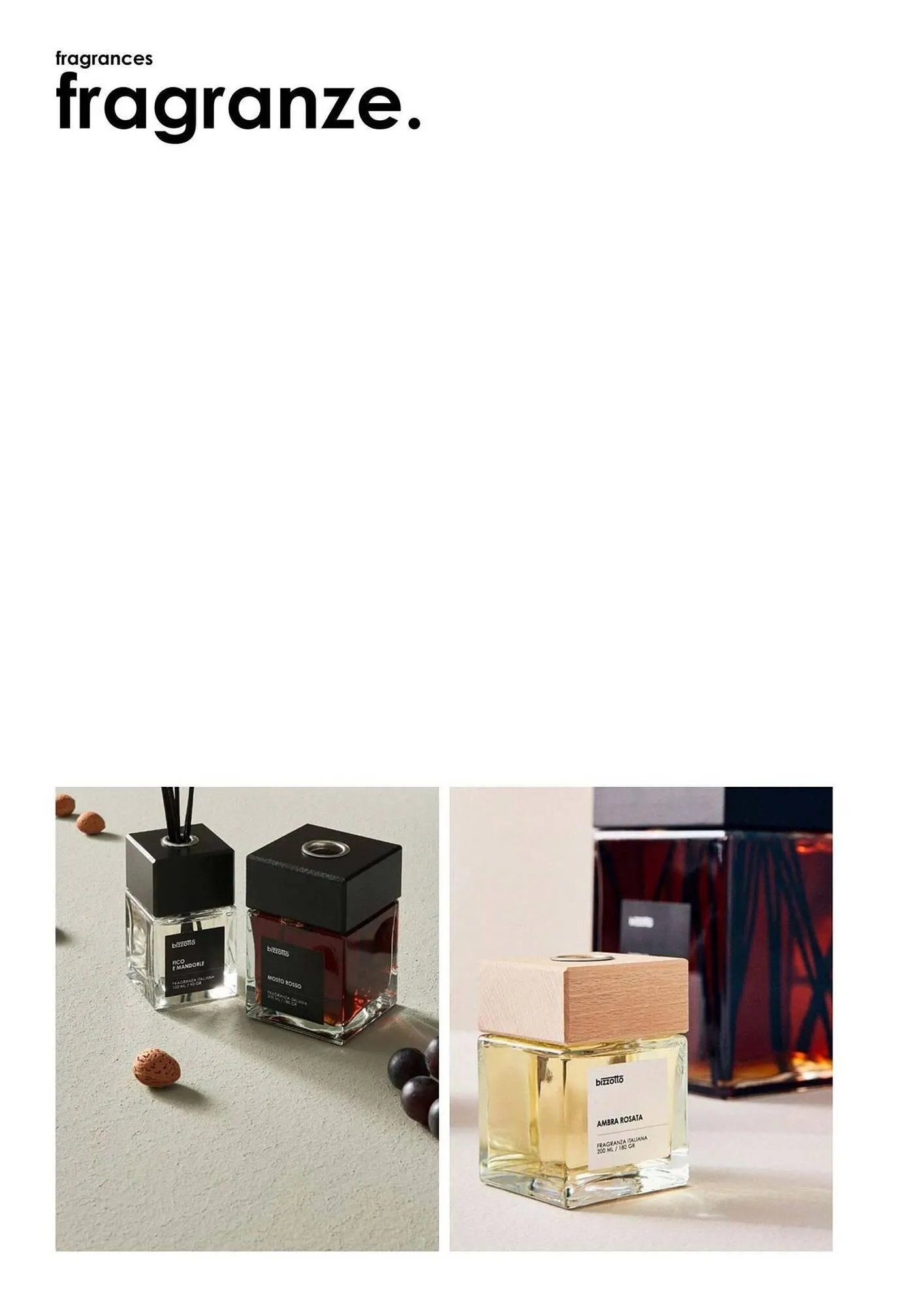 Volantino Bizzotto da 21 gennaio a 31 dicembre di 2025 - Pagina del volantino 161