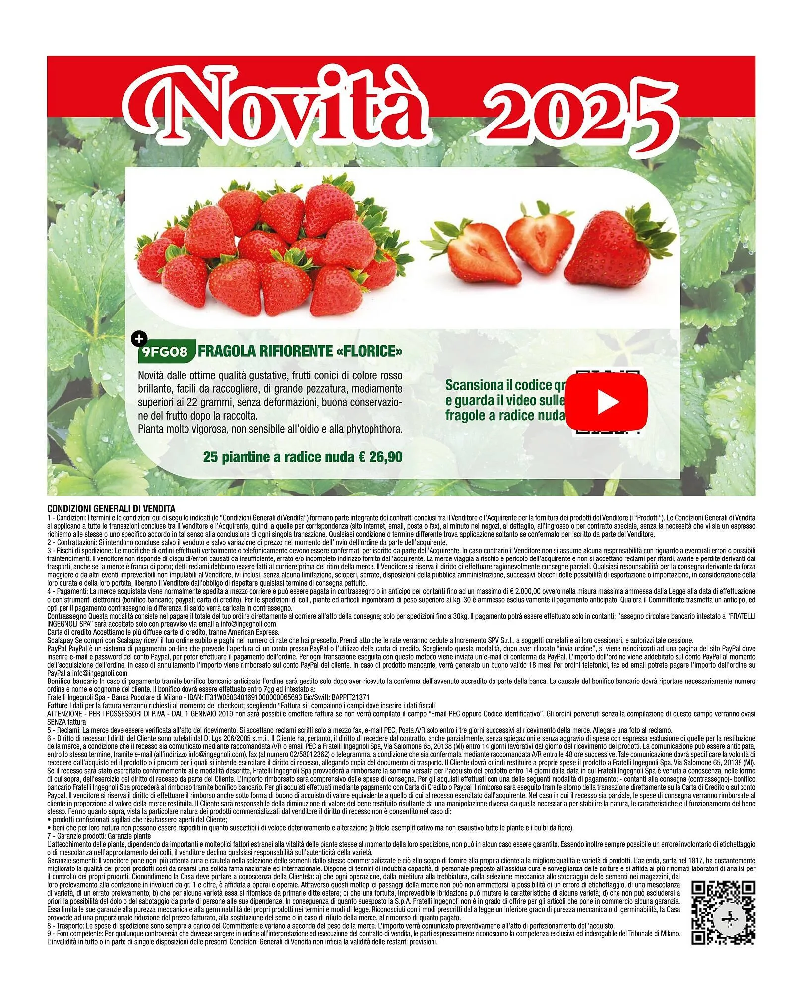 Volantino Ingegnoli da 4 novembre a 31 dicembre di 2025 - Pagina del volantino 2