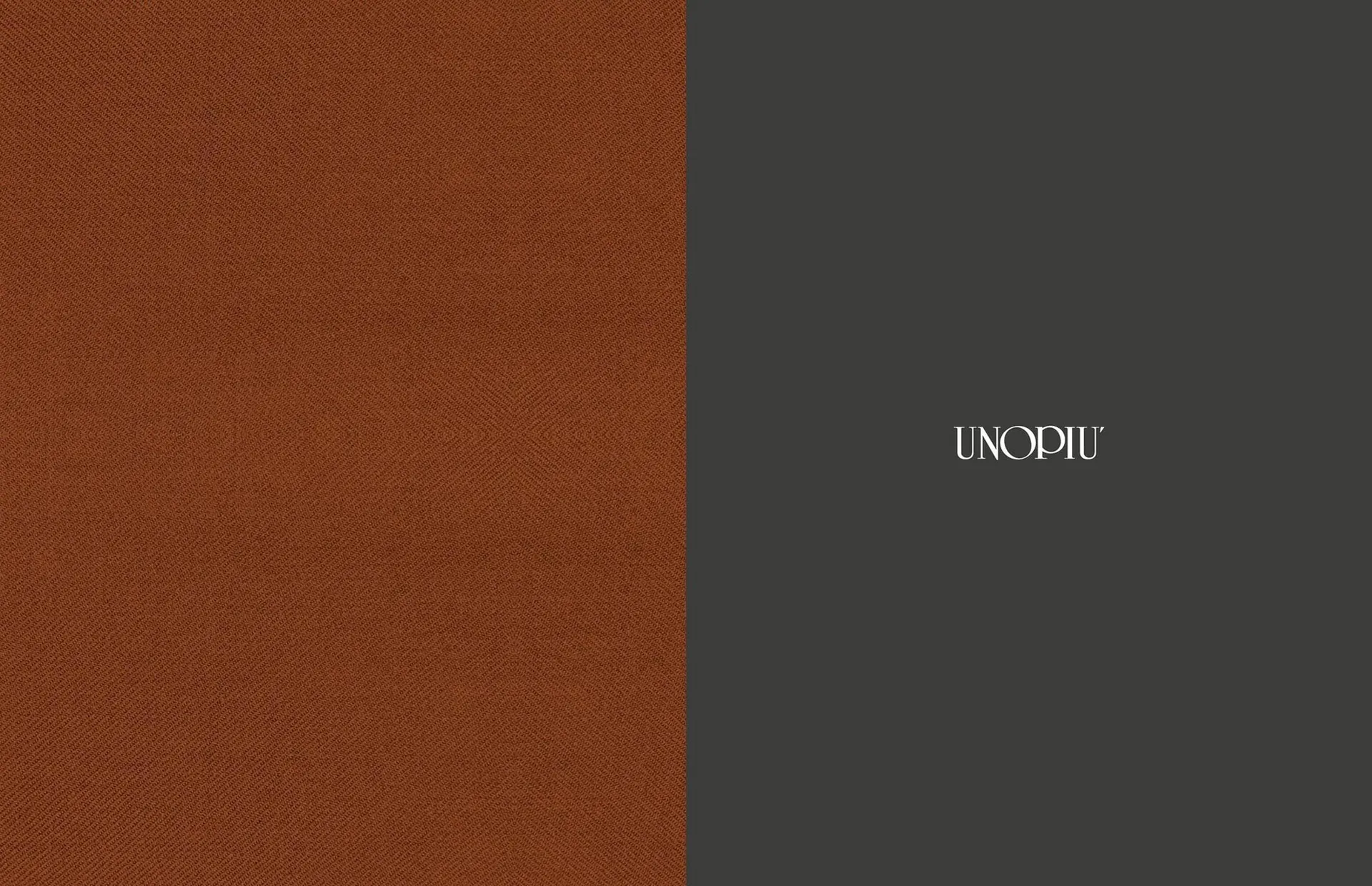 Volantino Unopiù da 21 febbraio a 31 dicembre di 2025 - Pagina del volantino 2