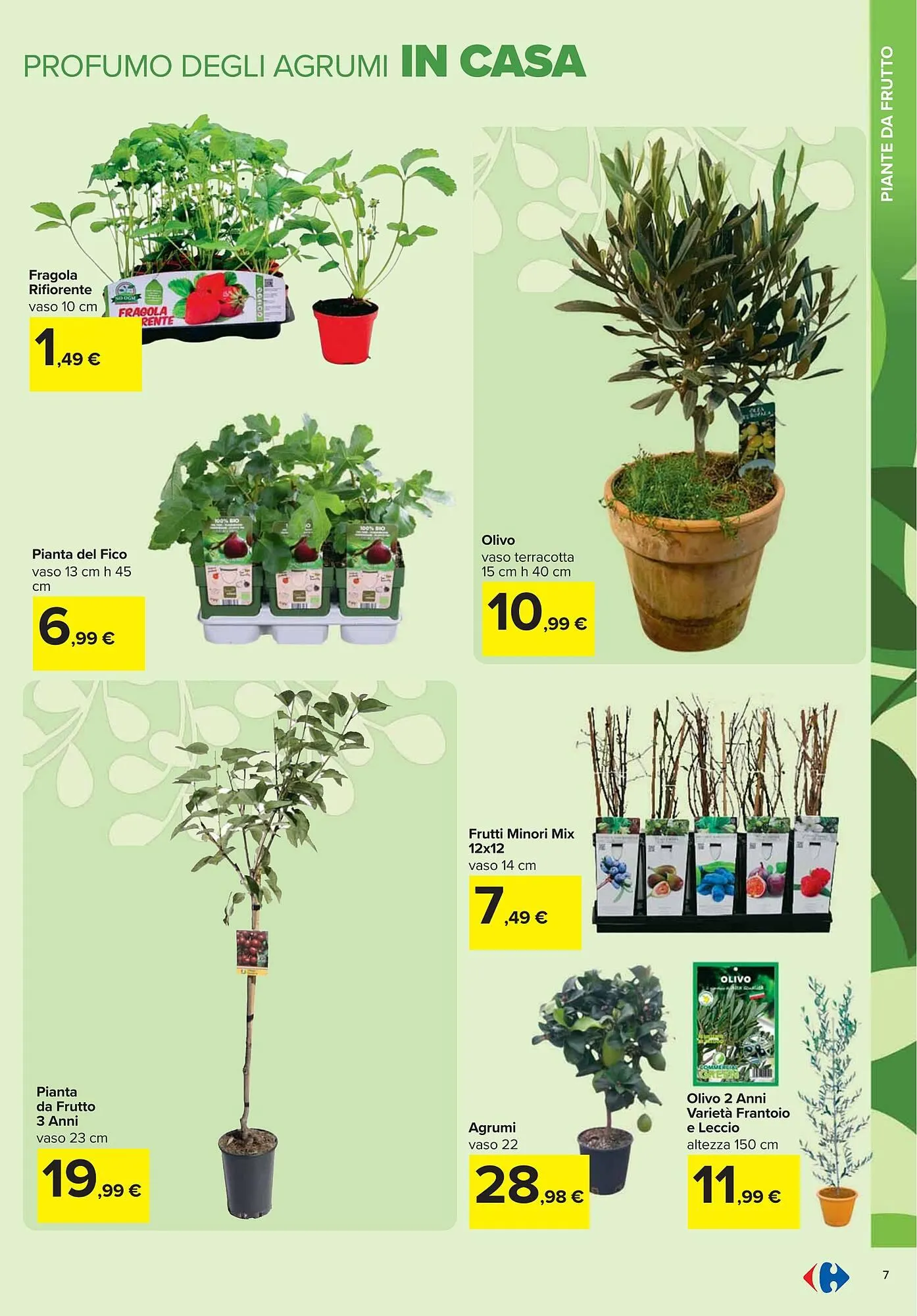 Volantino Carrefour Iper da 13 febbraio a 1 aprile di 2025 - Pagina del volantino 7