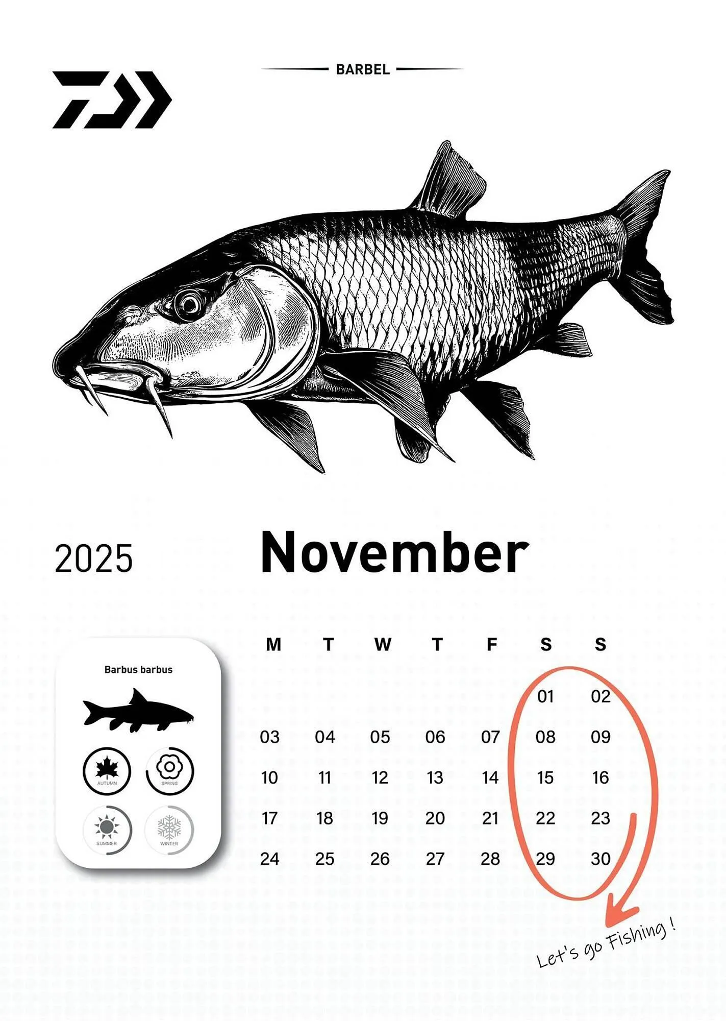 Volantino Daiwa da 6 dicembre a 31 dicembre di 2025 - Pagina del volantino 12