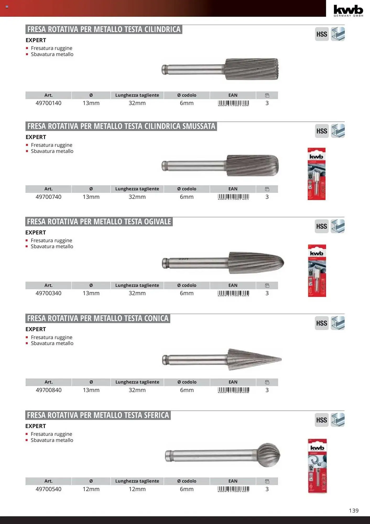 Volantino Einhell da 6 febbraio a 6 febbraio di 2026 - Pagina del volantino 141