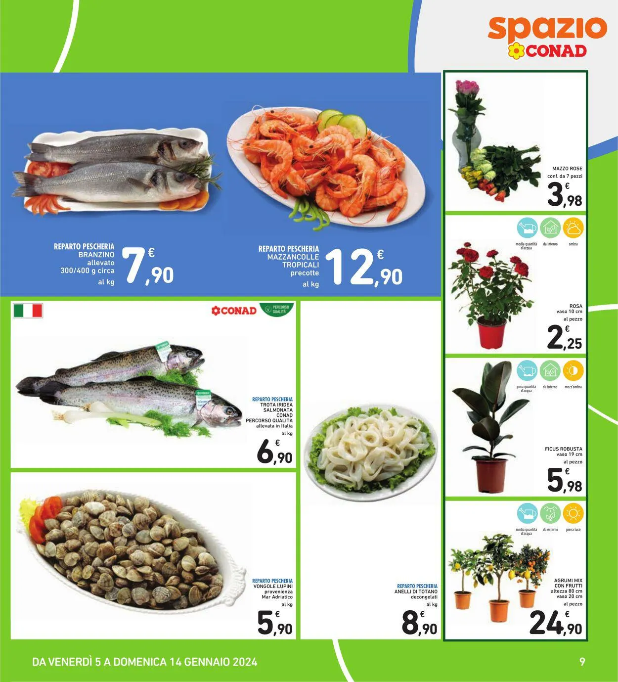 Conad - Spazio - Roma Volantino attuale da 5 gennaio a 14 gennaio di 2024 - Pagina del volantino 9
