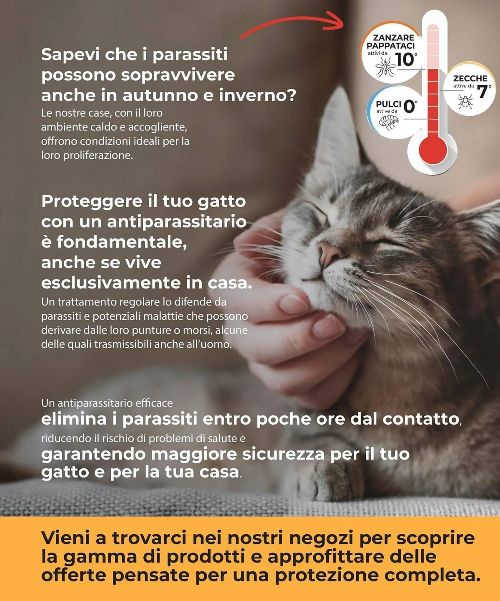 Volantino Arcaplanet da 20 ottobre a 2 novembre di 2025 - Pagina del volantino 27