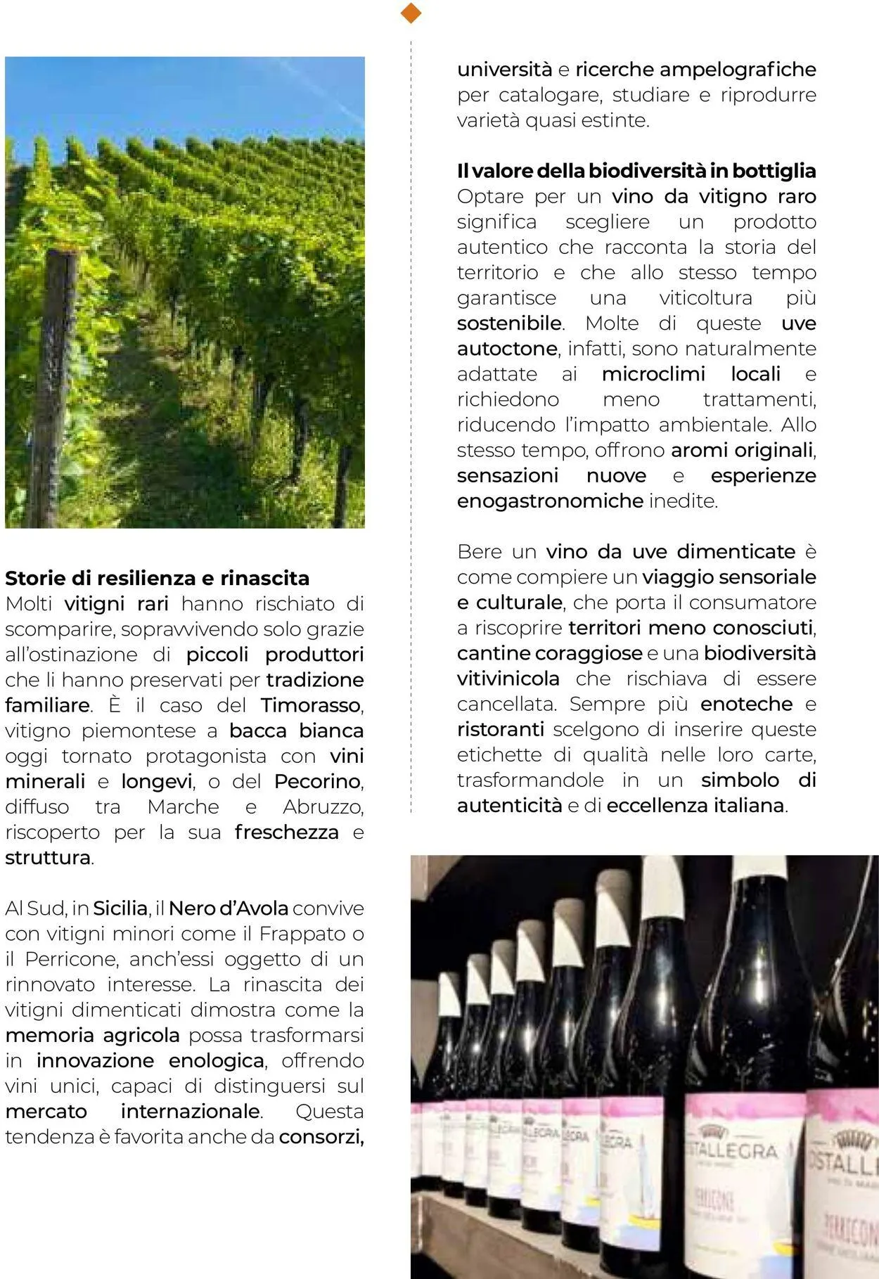 Gulliver Volantino attuale da 1 ottobre a 31 ottobre di 2025 - Pagina del volantino 21