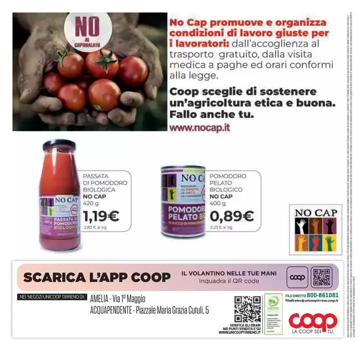 Dal 19 settembre al 2 ottobre da 19 settembre a 2 ottobre di 2024 - Pagina del volantino 24