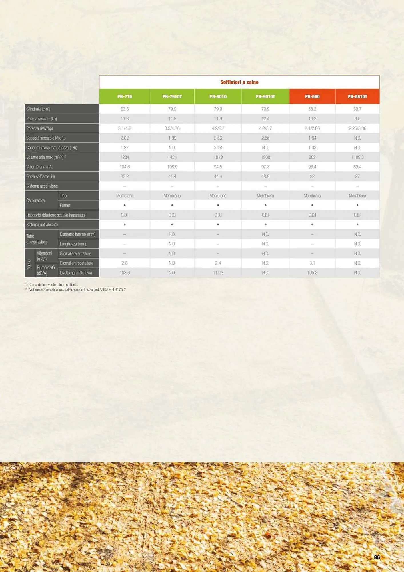 Volantino Echo da 17 febbraio a 31 dicembre di 2025 - Pagina del volantino 97