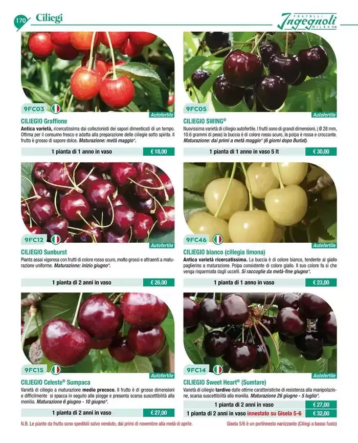 Catalogo guida 2025 da 20 gennaio a 31 dicembre di 2025 - Pagina del volantino 172