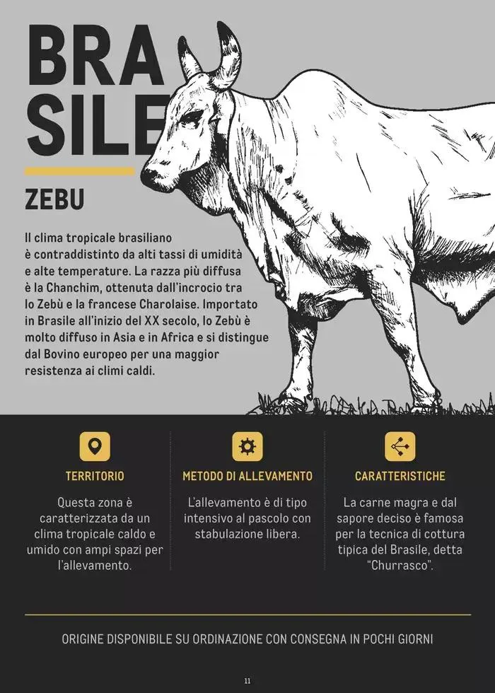 CATALOGO CARNE 2024 da 2 gennaio a 31 agosto di 2025 - Pagina del volantino 11