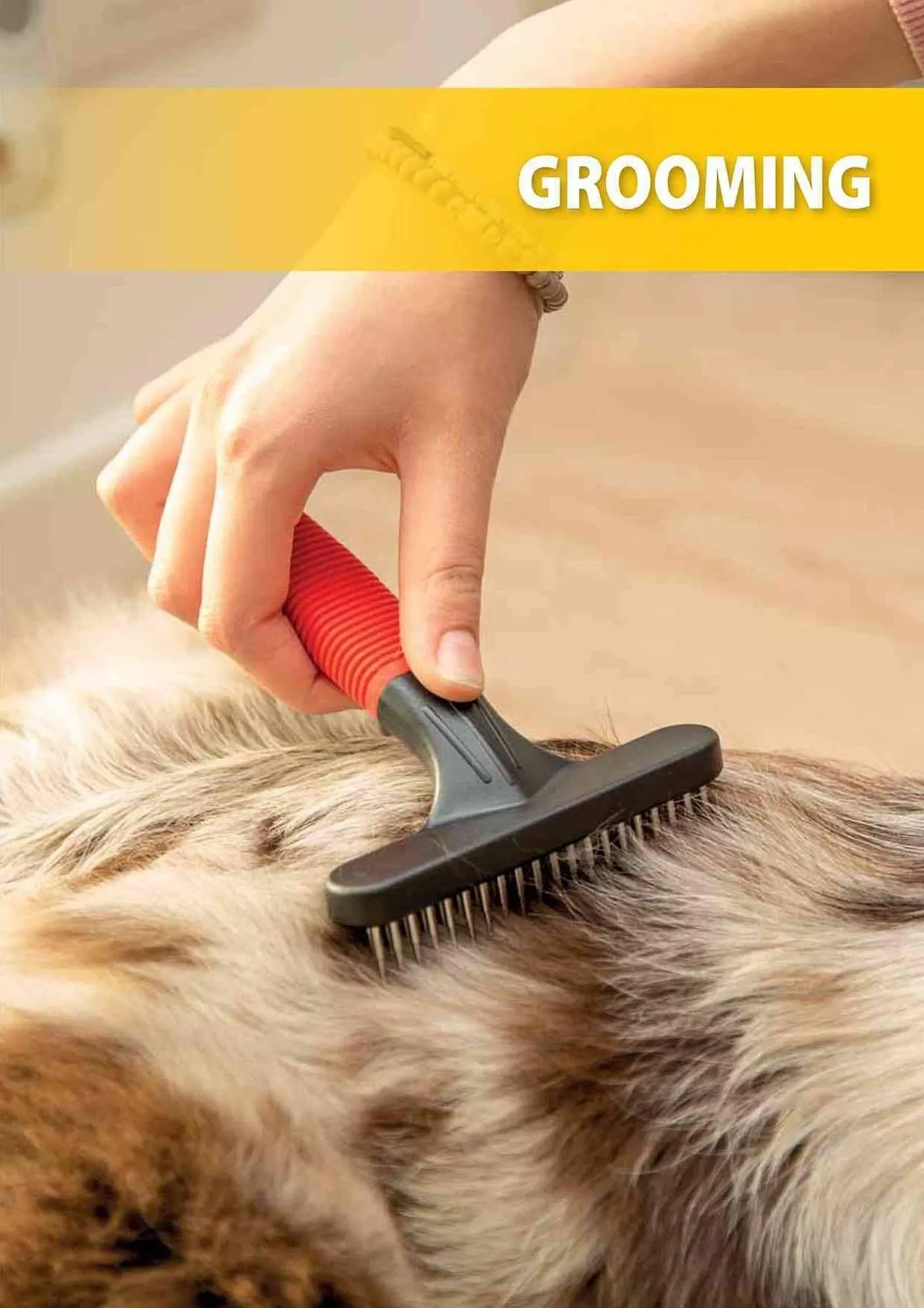 Volantino Ferplast da 25 aprile a 31 gennaio di 2025 - Pagina del volantino 308