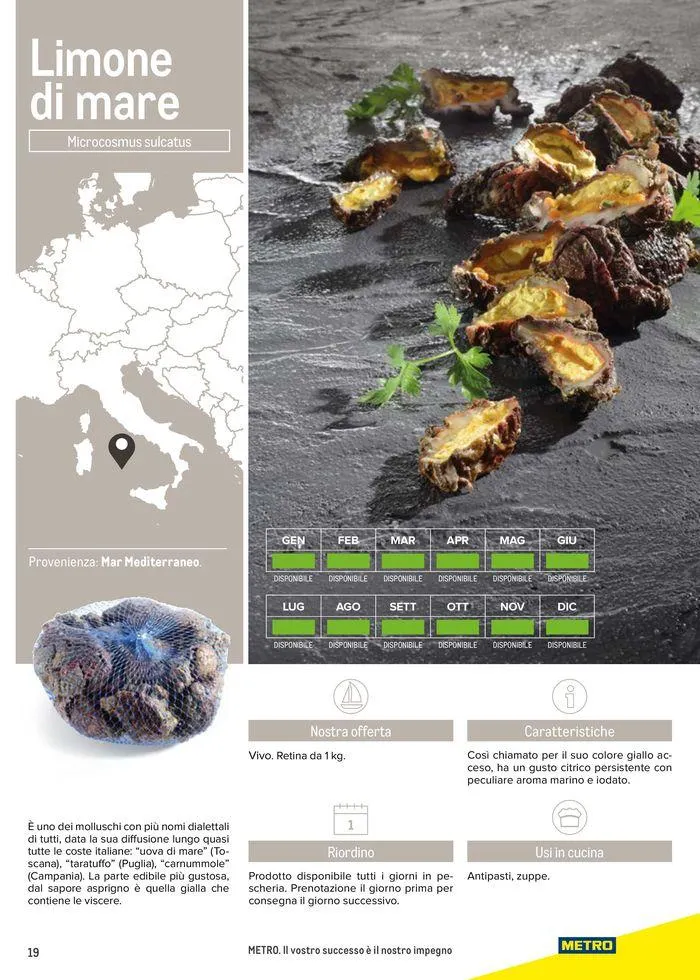 Catalogo Frutti di mare da 11 luglio a 31 luglio di 2025 - Pagina del volantino 19