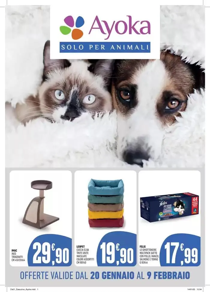 Offerte valide dal 20 gennaio al 9 febbraio - 1