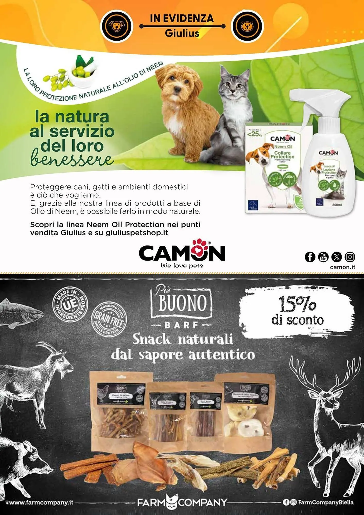 Volantino Giulius da 2 maggio a 30 giugno di 2025 - Pagina del volantino 3