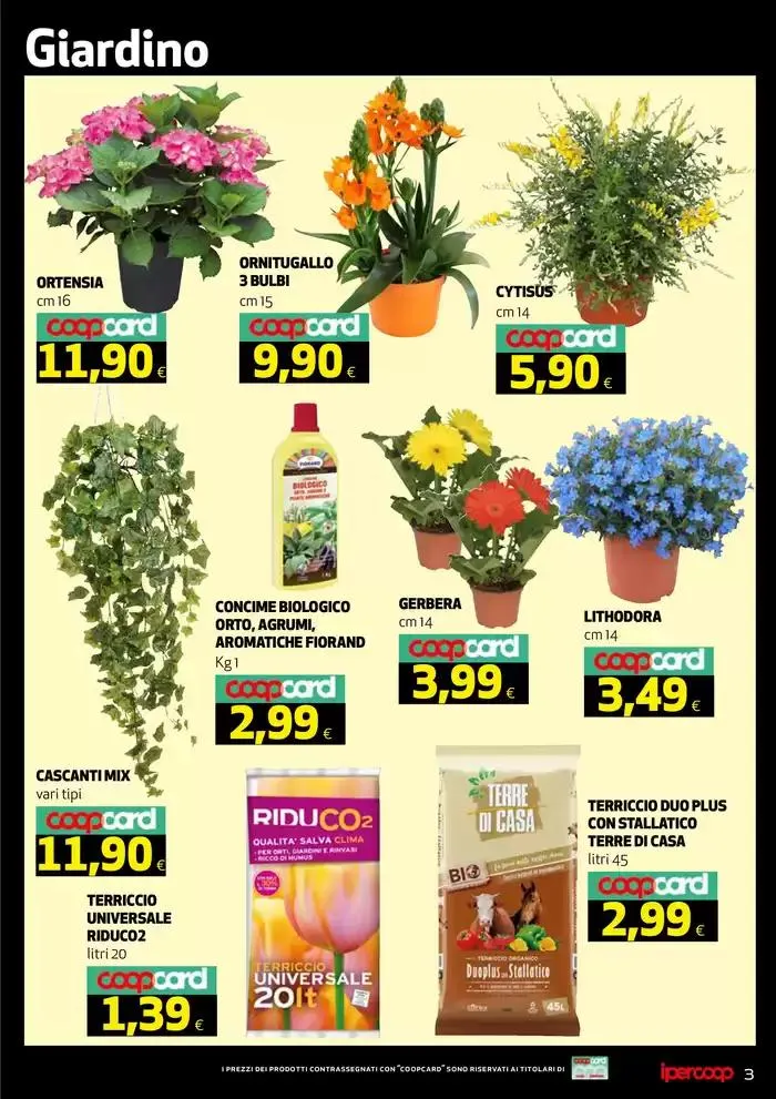 Idee Extra da 26 marzo a 3 aprile di 2025 - Pagina del volantino 3