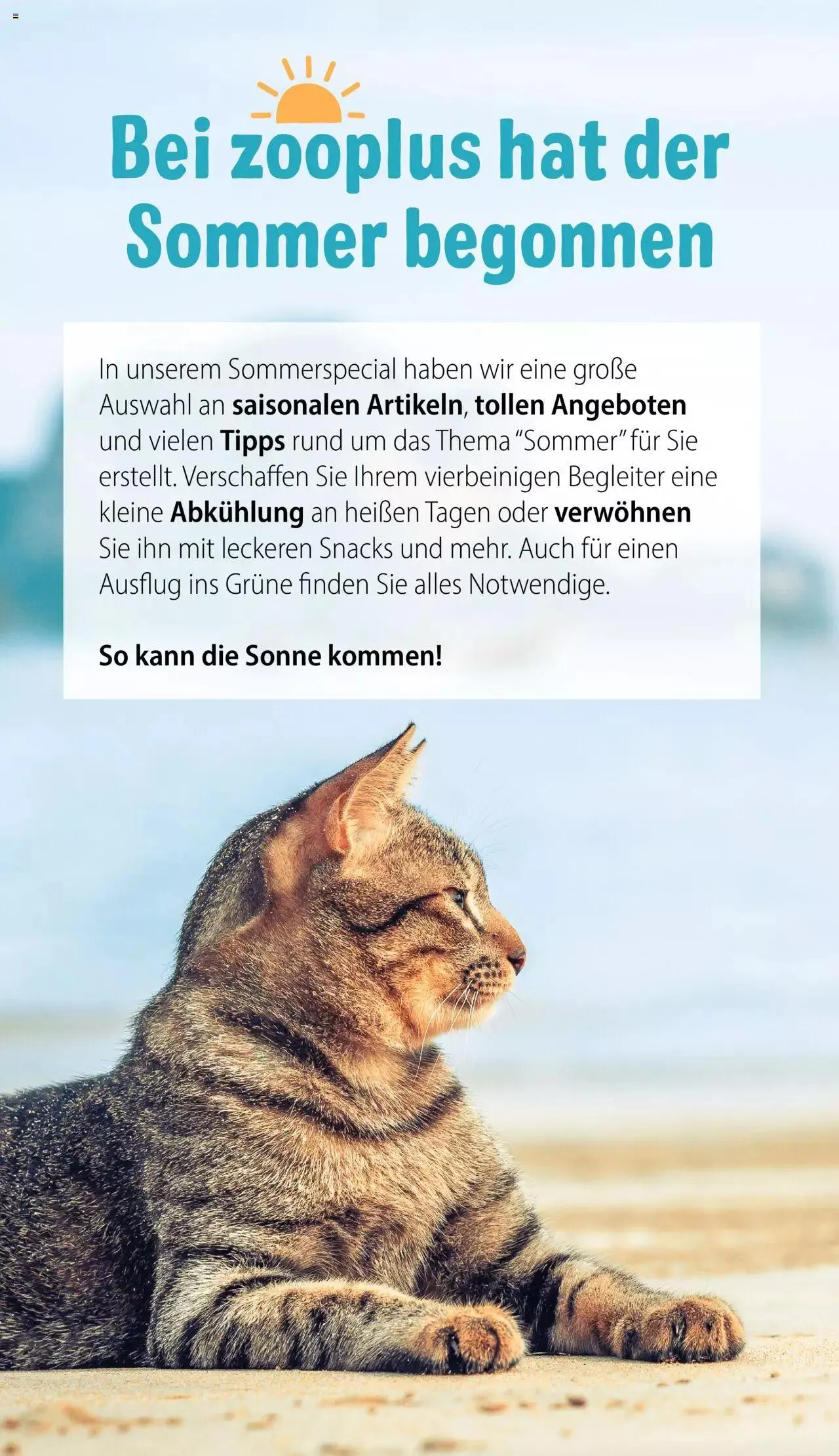 Volantino Zooplus da 1 luglio a 31 agosto di 2023 - Pagina del volantino 2