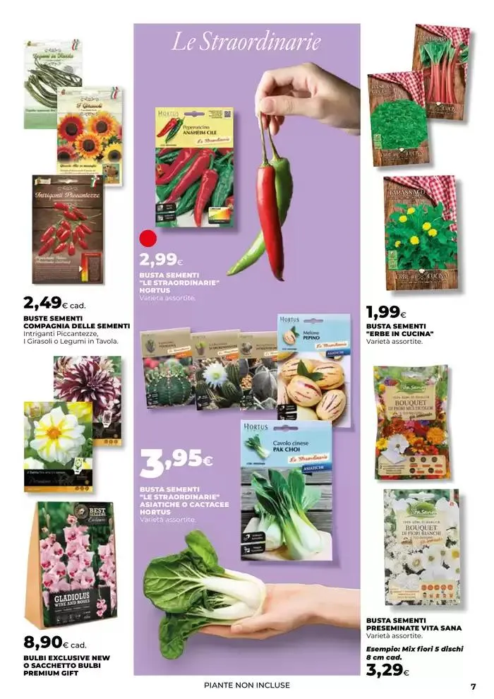 E' tempo di fiorire da 14 marzo a 9 aprile di 2025 - Pagina del volantino 7