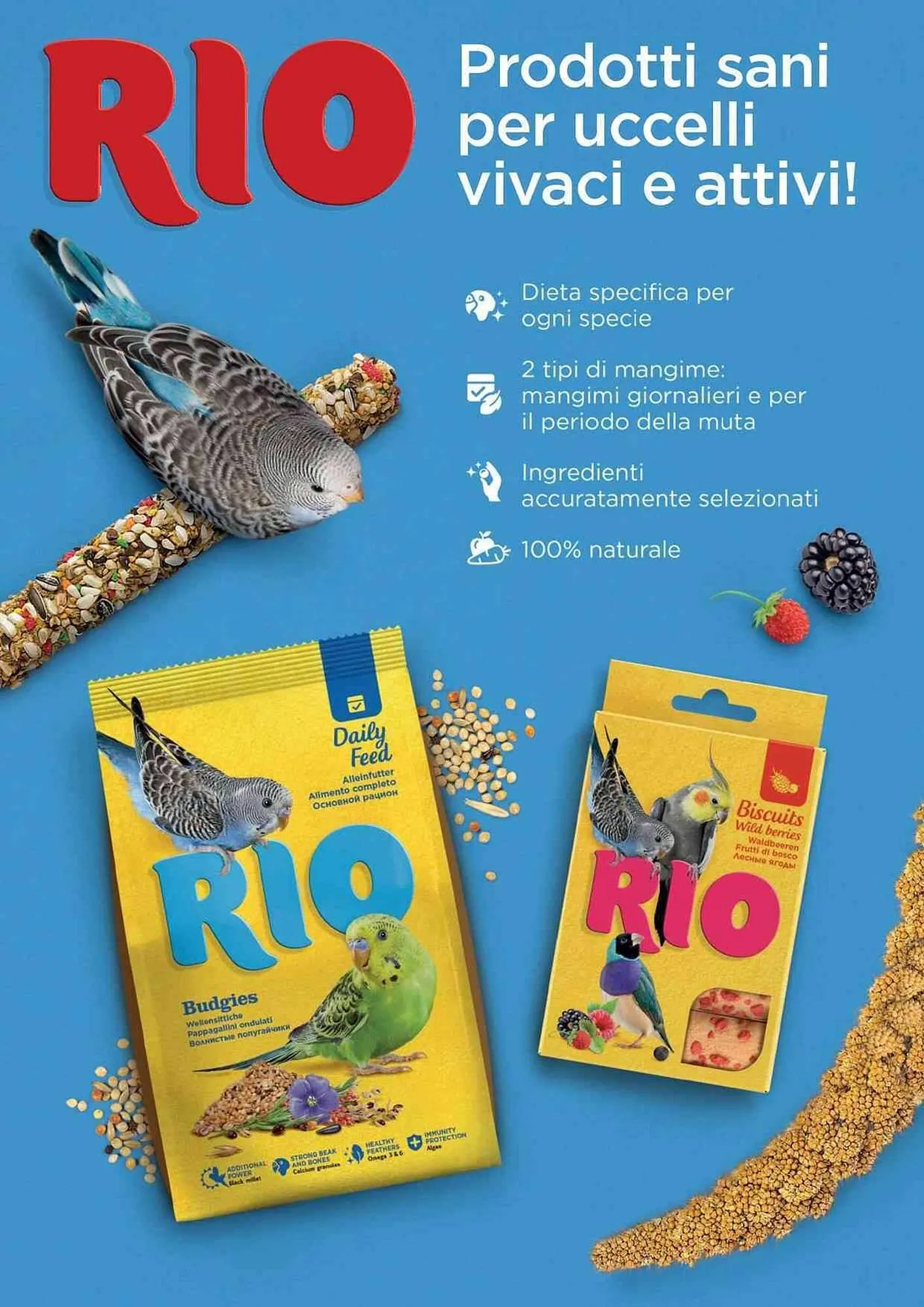 Volantino ZooPlanet da 29 ottobre a 28 novembre di 2025 - Pagina del volantino 12