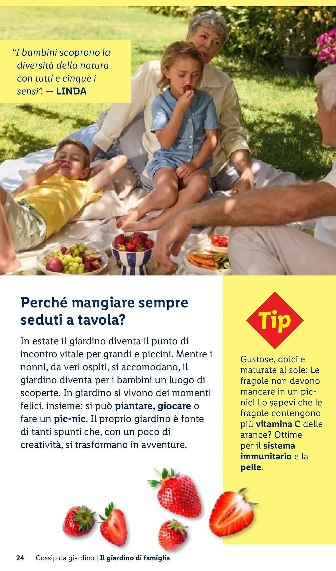 Volantino Lidl da 22 aprile a 30 aprile di 2026 - Pagina del volantino 24