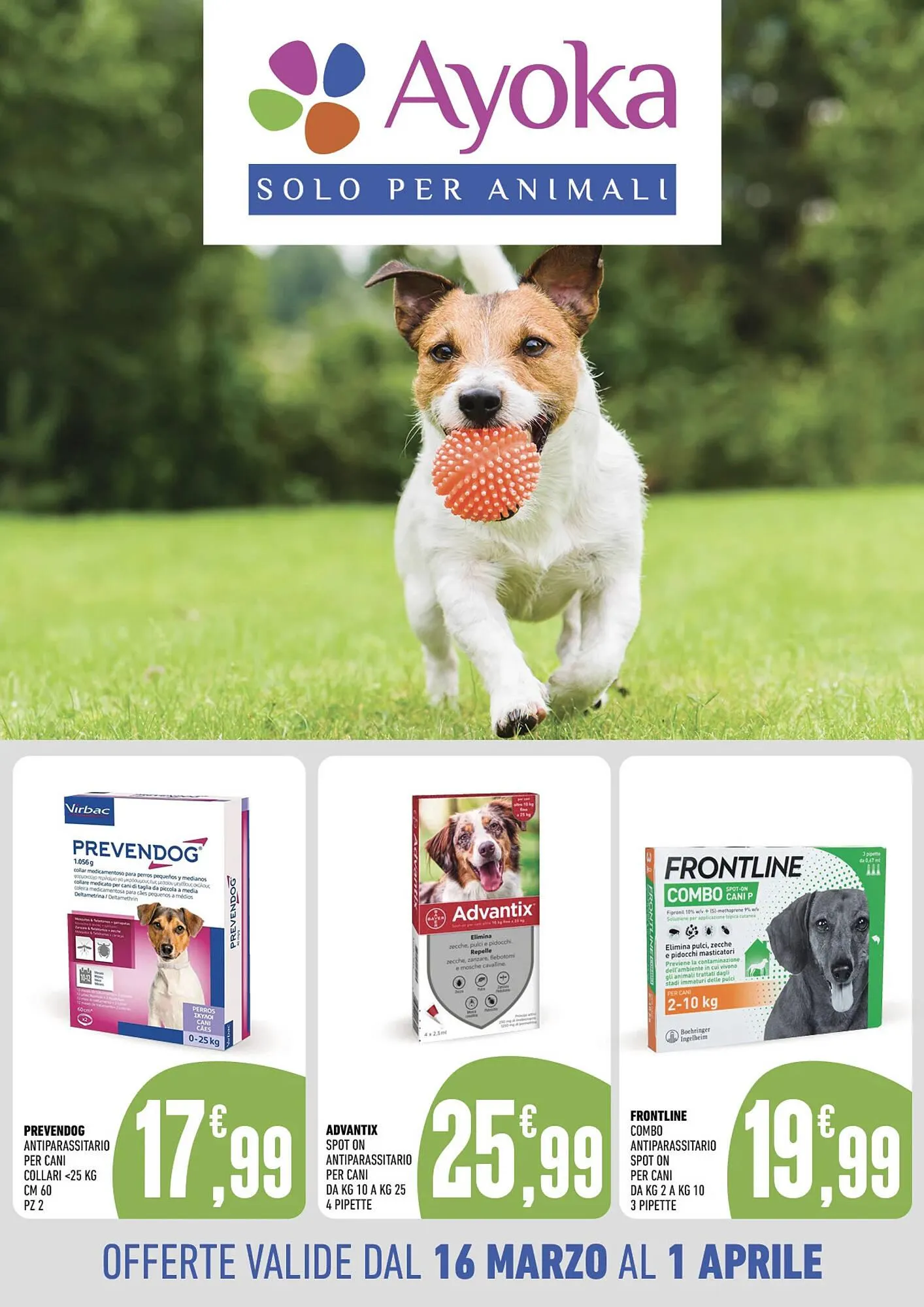 Volantino Ayoka da 16 marzo a 1 aprile di 2024 - Pagina del volantino 1