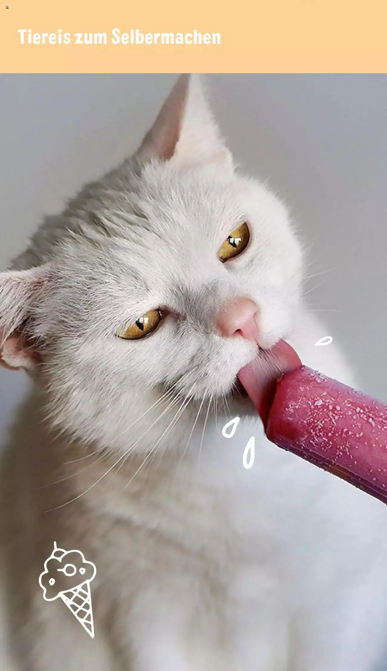 Volantino Zooplus da 1 luglio a 31 agosto di 2023 - Pagina del volantino 12