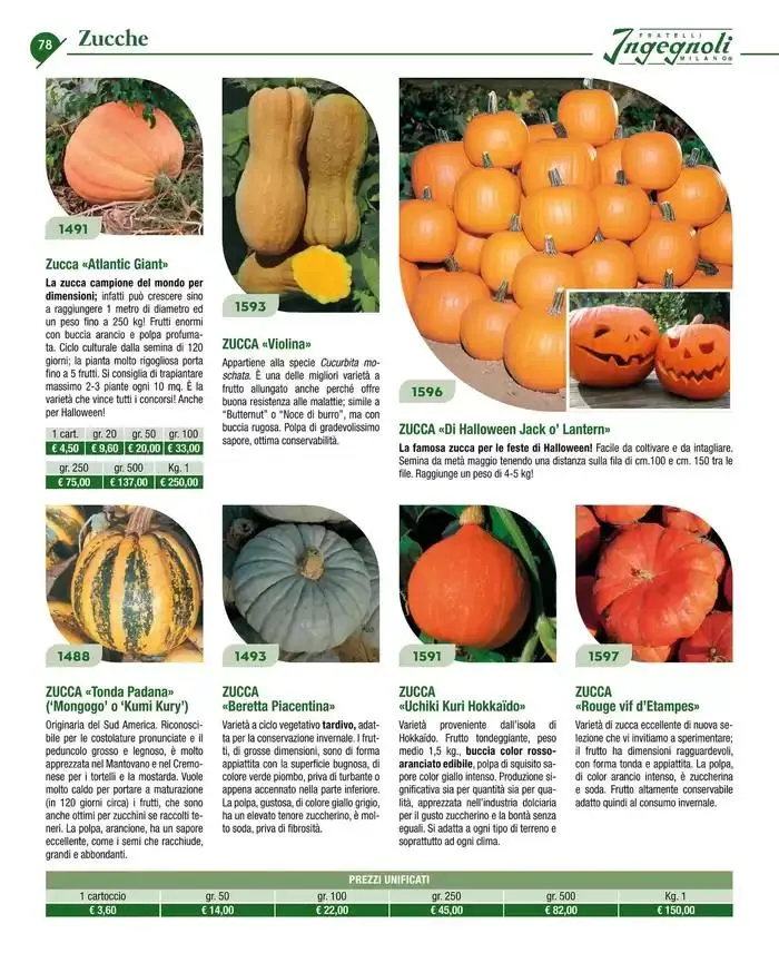 Catalogo guida 2025 da 20 gennaio a 31 dicembre di 2025 - Pagina del volantino 80