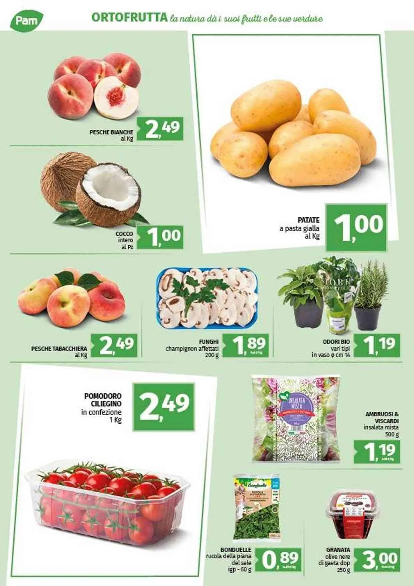 Volantino Pam da 4 luglio a 11 luglio di 2025 - Pagina del volantino 10