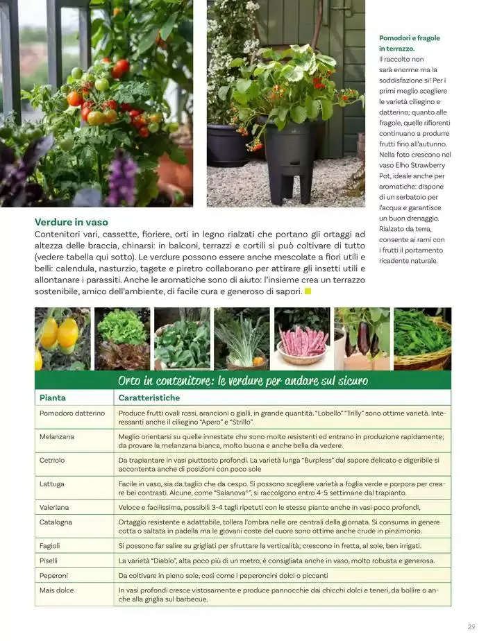 Idee per la vita all' aperto da 18 aprile a 18 maggio di 2025 - Pagina del volantino 29