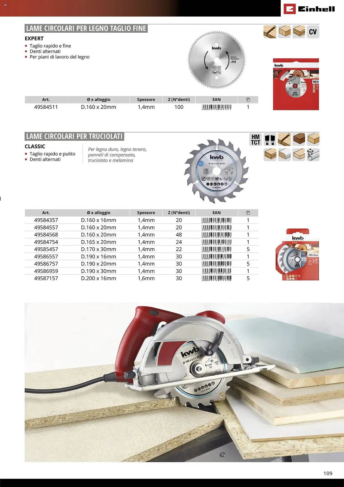 Volantino Einhell da 17 marzo a 31 dicembre di 2026 - Pagina del volantino 111