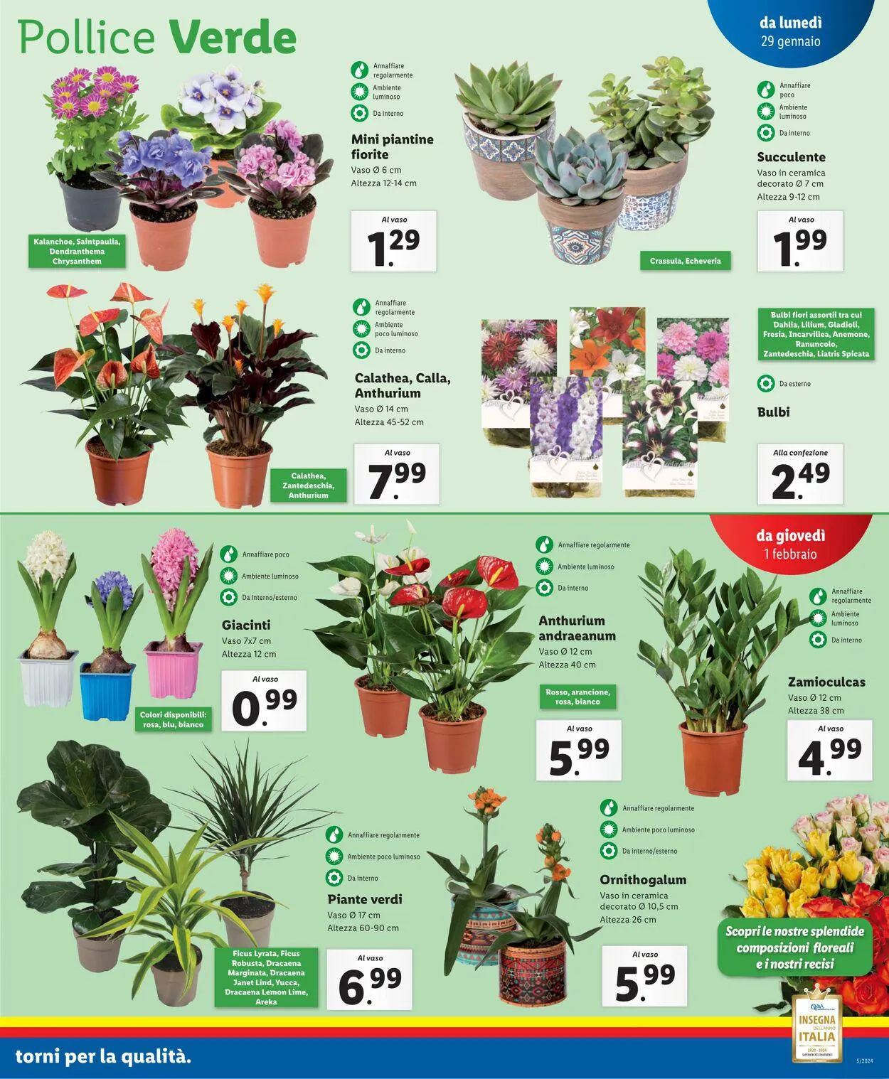 Lidl Volantino attuale da 29 gennaio a 4 febbraio di 2024 - Pagina del volantino 29