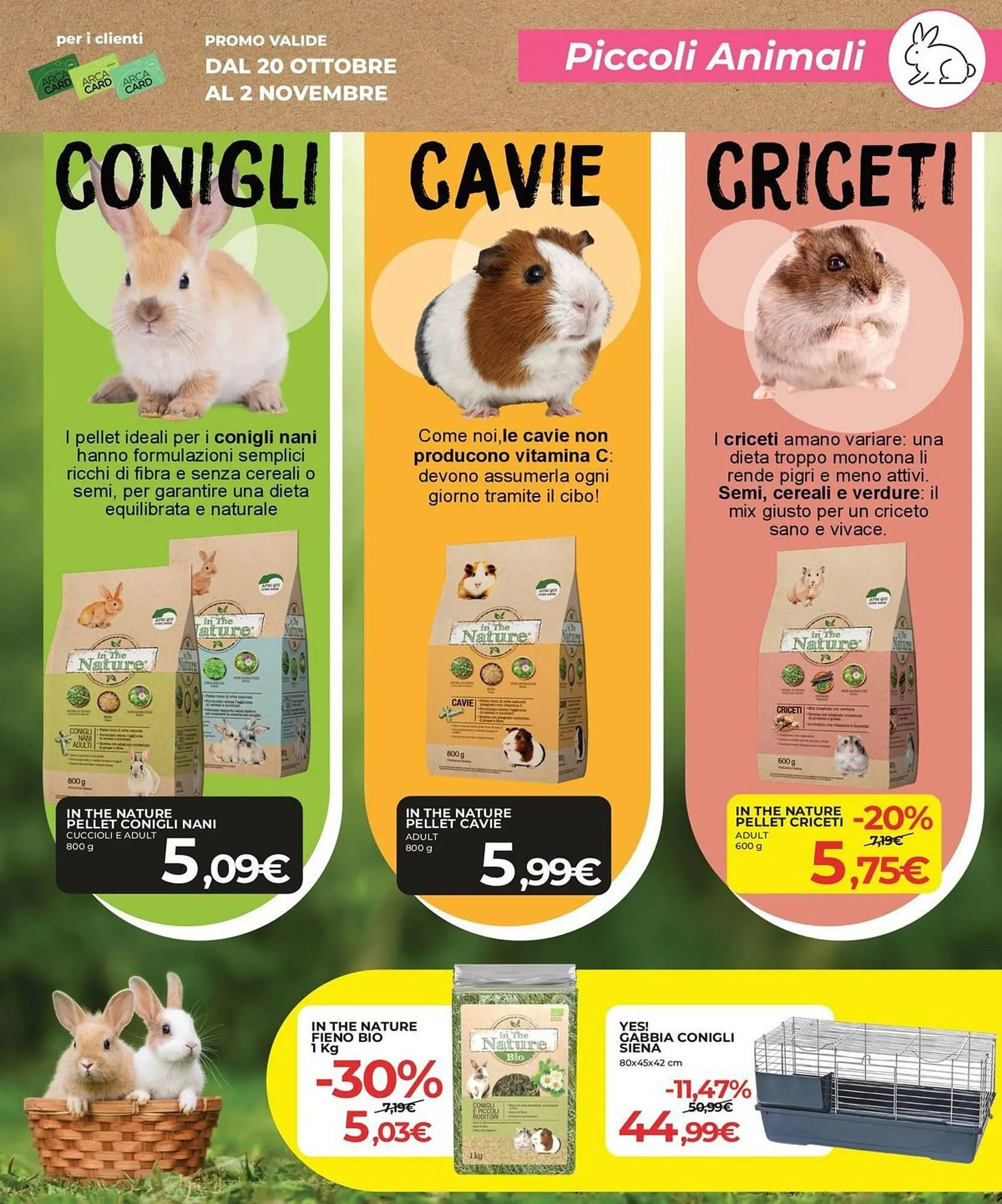 Volantino Arcaplanet da 20 ottobre a 2 novembre di 2025 - Pagina del volantino 29