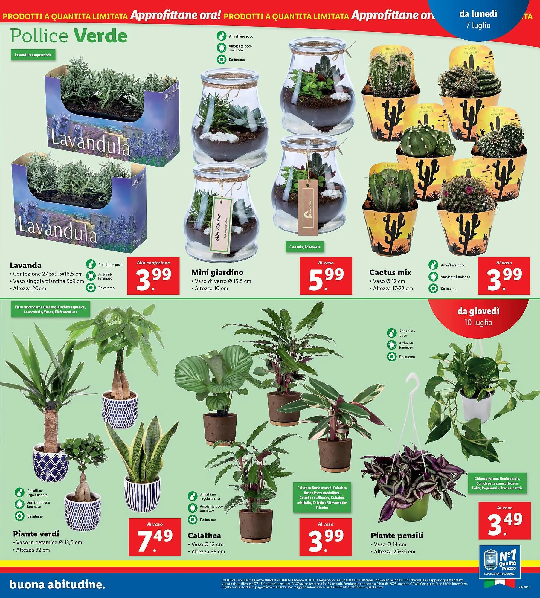 Volantino Lidl da 3 luglio a 13 luglio di 2025 - Pagina del volantino 33