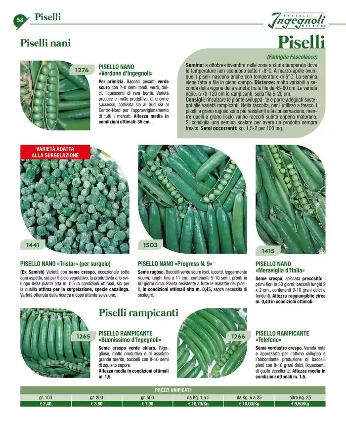 Catalogo guida 2025 da 20 gennaio a 31 dicembre di 2025 - Pagina del volantino 60