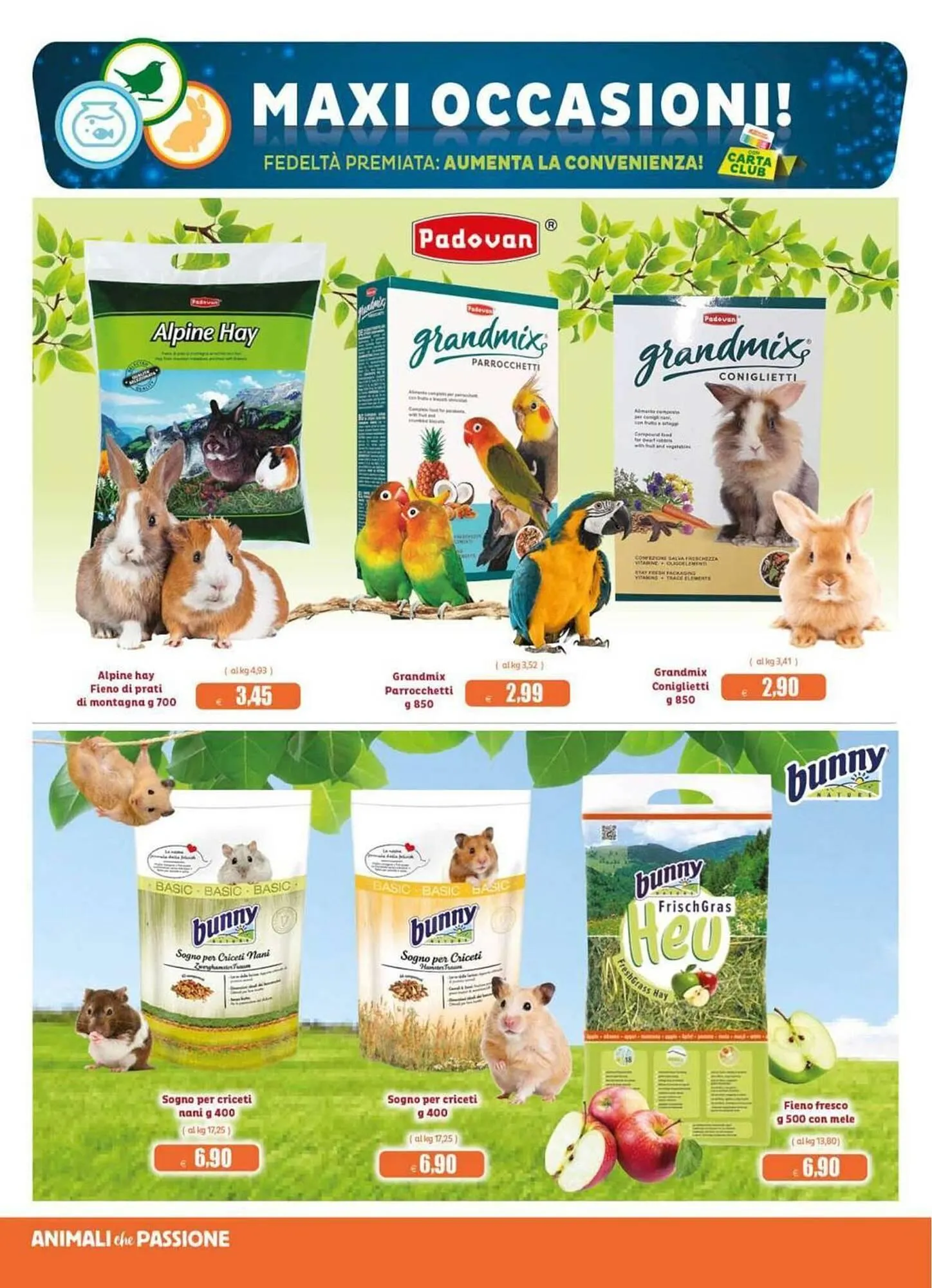 Volantino Elite Pet da 12 novembre a 30 novembre di 2025 - Pagina del volantino 14