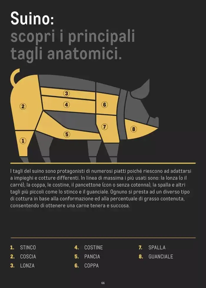 CATALOGO CARNE 2024 da 2 gennaio a 31 agosto di 2025 - Pagina del volantino 66